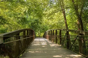 1494 Longwing Ln, Marietta, GA 30066 - Photo 60