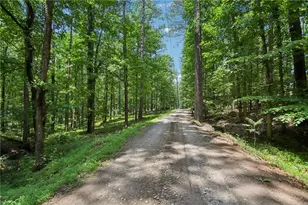 1319 Crumbley Rd, McDonough, GA 30252 - Photo 72