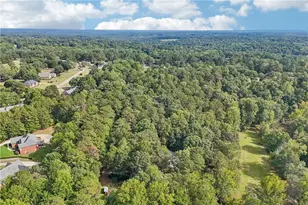 1319 Crumbley Rd, McDonough, GA 30252 - Photo 92