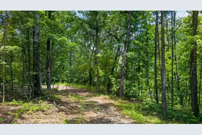 2022 Pleasant Union Road, Canton, GA 30114 - Photo 4