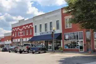 0 Old Hwy 100, Tallapoosa, GA 30176 - Photo 24
