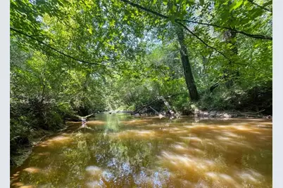 0 Old Hwy 100, Tallapoosa, GA 30176 - Photo 18
