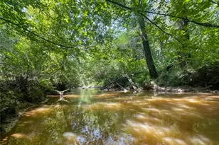 0 Old Hwy 100, Tallapoosa, GA 30176 - Photo 18
