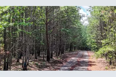 47 Lot, Rockmart, GA 30153 - Photo 2