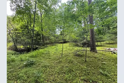 3.5 Ac Ben Higgins Road, Dahlonega, GA 30533 - Photo 4