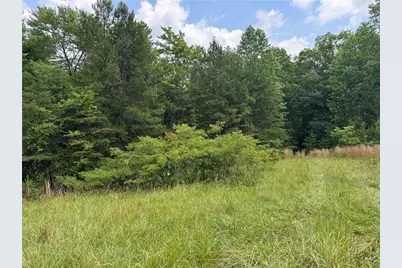 3.5 Ac Ben Higgins Road, Dahlonega, GA 30533 - Photo 12