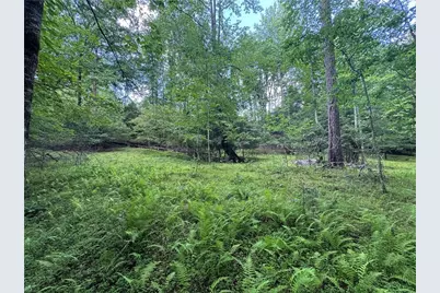 3.5 Ac Ben Higgins Road, Dahlonega, GA 30533 - Photo 6