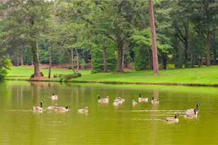 10180 Capps Ferry Rd, Chattahoochee Hills, GA 30268 - Photo 58