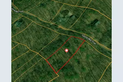 0 Laurel Mill Trail, Jasper, GA 30143 - Photo 2