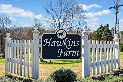 228 Hawkins Farm Circle, Ball Ground, GA 30107 - Photo 4