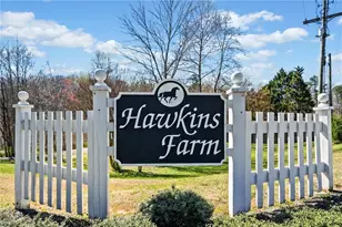 228 Hawkins Farm Cir, Ball Ground, GA 30107 - Photo 4