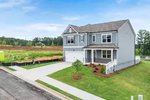 33 Cyrilla Walk, Dallas, GA 30132 - Photo 2