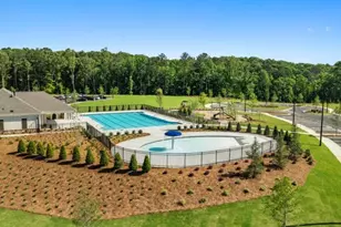 33 Cyrilla Walk, Dallas, GA 30132 - Photo 38