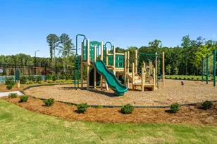 33 Cyrilla Walk, Dallas, GA 30132 - Photo 38