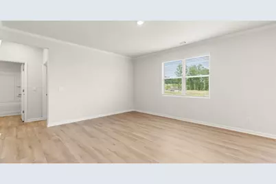 33 Cyrilla Walk, Dallas, GA 30132 - Photo 12