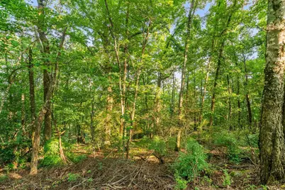 0 Mount Alto Road SW, Rome, GA 30165 - Photo 4