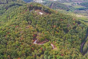 [Address not provided], Rabun Gap, GA 30568 - Photo 84