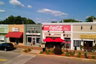 11974 Aukerman Wy, Hampton, GA 30228 - Photo 24