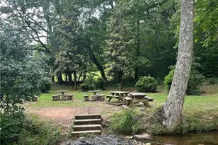 773 Fairview Rd, Jasper, GA 30143 - Photo 44