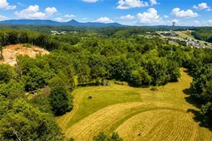 773 Fairview Rd, Jasper, GA 30143 - Photo 22