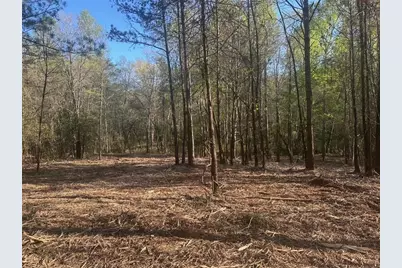 00 Lee Mashburn Road, Dahlonega, GA 30533 - Photo 1