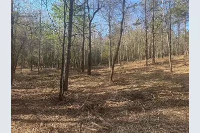 00 Lee Mashburn Road, Dahlonega, GA 30533 - Photo 6