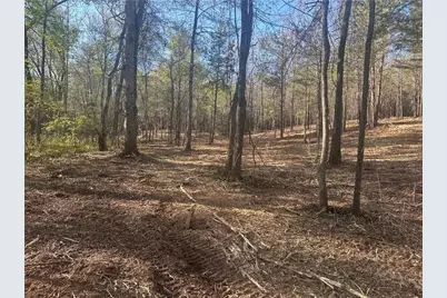 00 Lee Mashburn Road, Dahlonega, GA 30533 - Photo 2