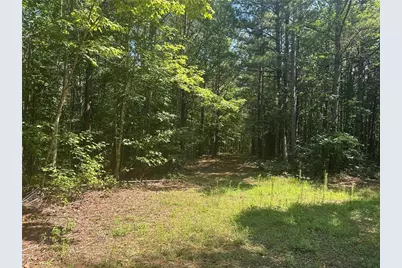 40 Patriot View Drive, Dahlonega, GA 30533 - Photo 4