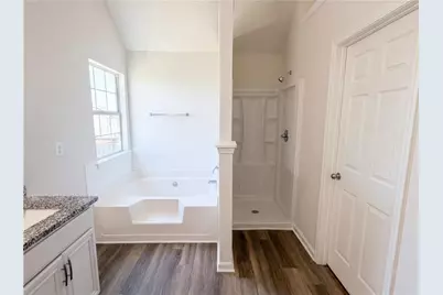 1774 Wood Stork Drive, Hampton, GA 30228 - Photo 18