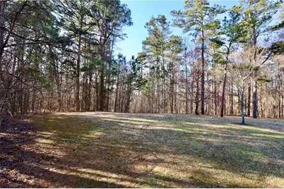460 Chandler Bluff Court, Grayson, GA 30017 - Photo 4