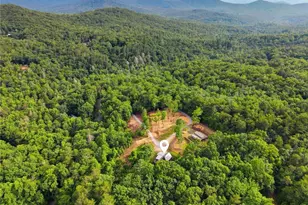 2781 Old Parker Pl Rd, Ellijay, GA 30536 - Photo 56