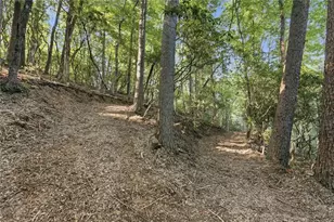 2781 Old Parker Pl Rd, Ellijay, GA 30536 - Photo 54
