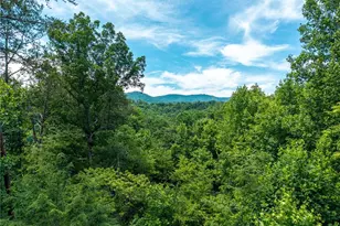 1172 Settler's Ridge Rd, Ellijay, GA 30540 - Photo 56