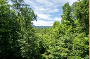 1172 Settler's Ridge Rd, Ellijay, GA 30540 - Photo 40