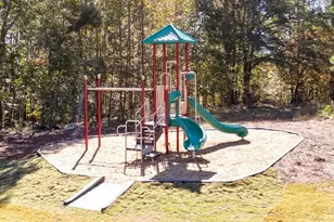 621 Great Salt Ln, Hoschton, GA 30548 - Photo 28