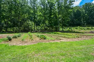 3518 Old Burnt Mountain Rd, Jasper, GA 30143 - Photo 8