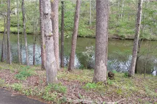 8155 Stone Hill Rd, Cumming, GA 30028 - Photo 2
