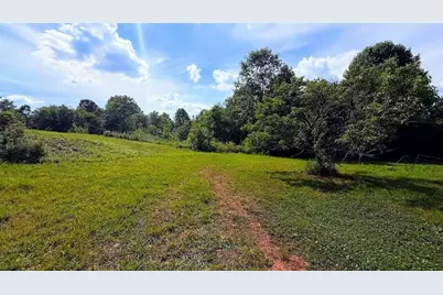 380 Nix Road, Bremen, GA 30110 - Photo 1