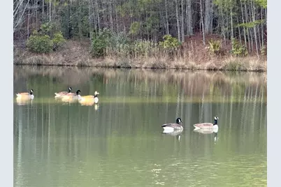 100 Pond Overlook Lane, Morganton, GA 30560 - Photo 34