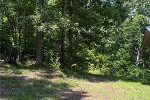 388 River Shoals Rd, Dawsonville, GA 30534 - Photo 10