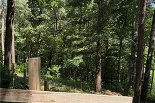 388 River Shoals Rd, Dawsonville, GA 30534 - Photo 12