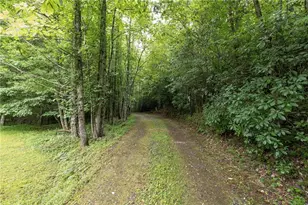 28 Ashleywood Dr, Dahlonega, GA 30533 - Photo 30