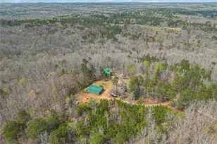 9150 W Banks Mill Rd, Winston, GA 30187 - Photo 40