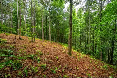 00 Roaring Forks Lane, East Ellijay, GA 30540 - Photo 12