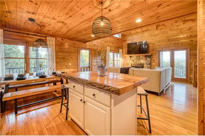 48 Lookout Drive, Blue Ridge, GA 30513 - Photo 48
