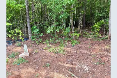 6.9 Acres Rivertown Road, Fairburn, GA 30213 - Photo 8