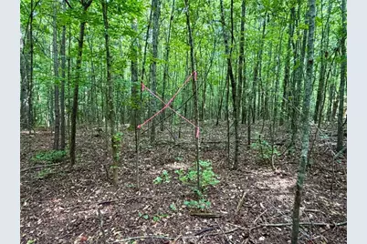 6.9 Acres Rivertown Road, Fairburn, GA 30213 - Photo 12