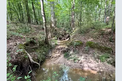 6.9 Acres Rivertown Road, Fairburn, GA 30213 - Photo 16