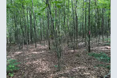 6.9 Acres Rivertown Road, Fairburn, GA 30213 - Photo 10