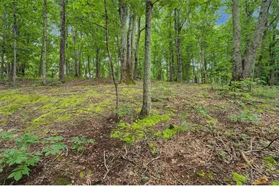 1230 Red Bud Drive, Marietta, GA 30062 - Photo 40